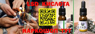 спиды Кингисепп