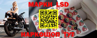 спиды Кингисепп