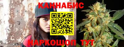 спиды Кингисепп
