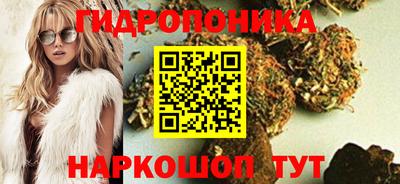 спиды Кингисепп
