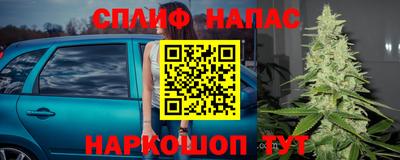 ПСИЛОЦИБИНОВЫЕ ГРИБЫ Кимры