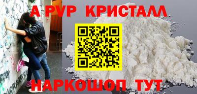 спиды Кингисепп