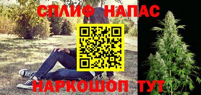 спиды Кингисепп
