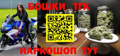 спиды Кингисепп