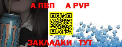 спиды Кингисепп