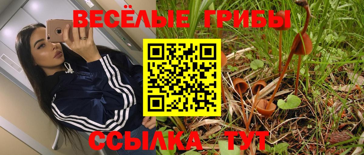 Вичуга  Псилоцибиновые грибы прущие грибы  Галлюциногенные грибы GOLDEN TEACHER  Вход с VPN 