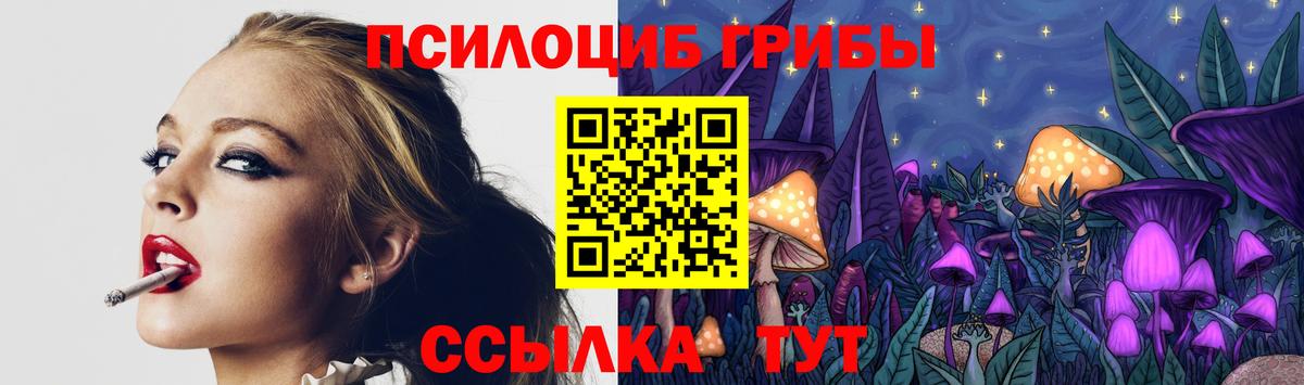 Галлюциногенные грибы прущие грибы Вичуга